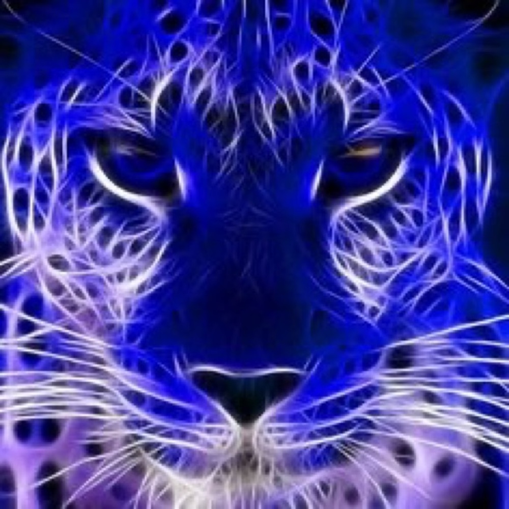 Meet your Posher, Teri